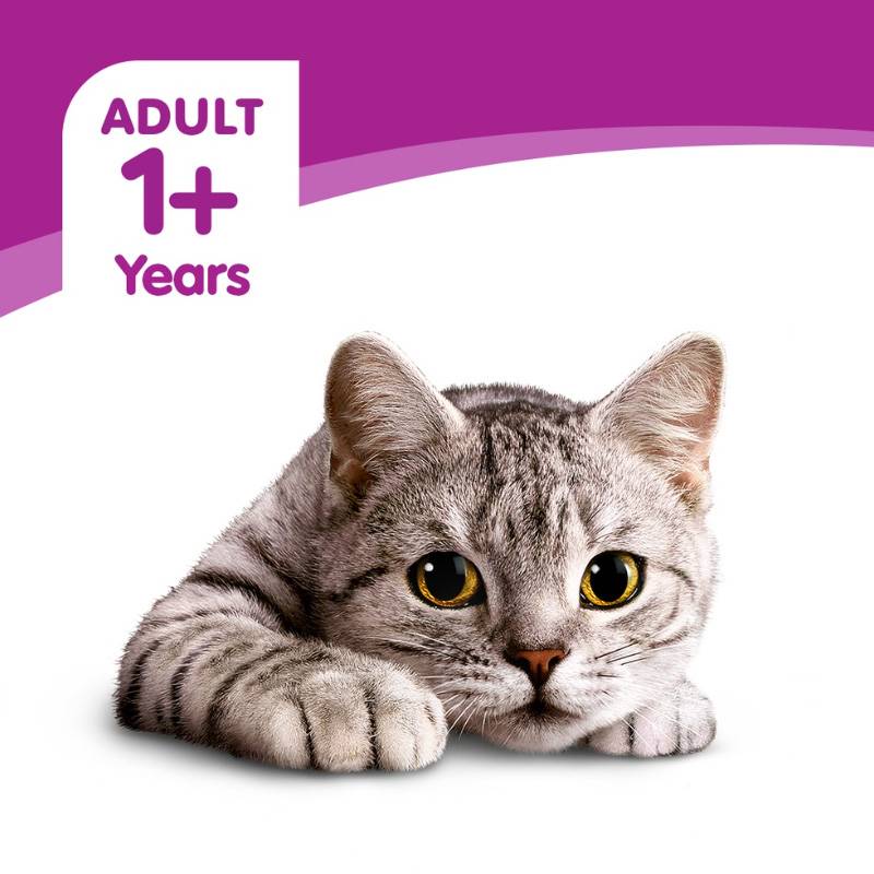 WHISKAS 1+ MACKEREL CAT DRY FOOD